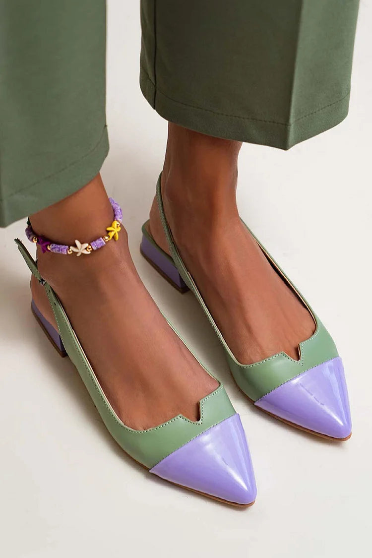 Violante | Pointed Bicolor Detail Ballerinas